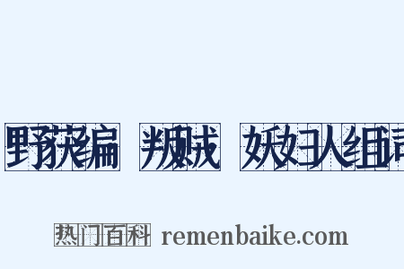 野获编·叛贼·妖妇人组词是什么意思的图片